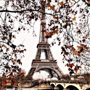 Eiffel Tower with Boat Cruise & Open Tour